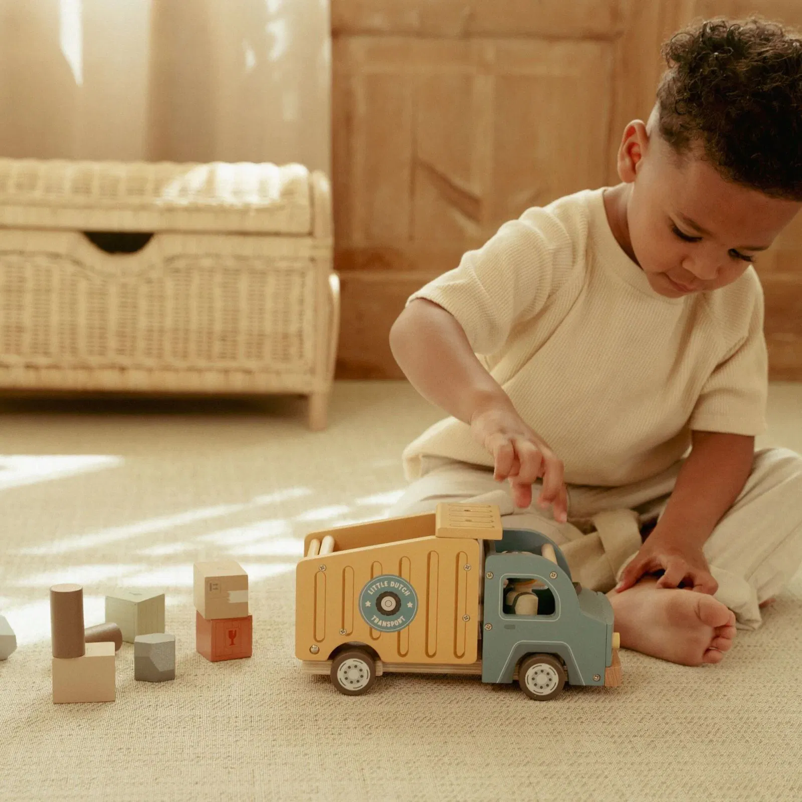 Camion ribaltabile FSC